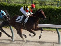 ����å��ǳ��������ɽ�����ޤ�