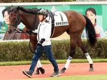 ����å��ǳ��������ɽ�����ޤ�