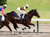 ����å��ǳ��������ɽ�����ޤ�