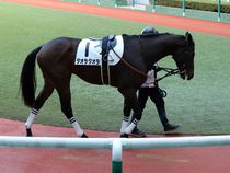 ����å��ǳ��������ɽ�����ޤ�