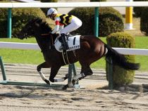 ����å��ǳ��������ɽ�����ޤ�