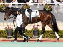 ����å��ǳ��������ɽ�����ޤ�