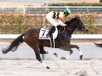 ����å��ǳ��������ɽ�����ޤ�