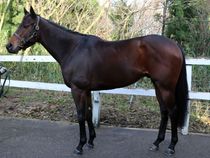 ����å��ǳ��������ɽ�����ޤ�