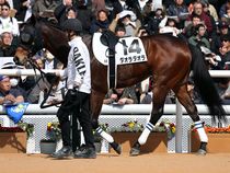 ����å��ǳ��������ɽ�����ޤ�