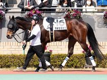 ����å��ǳ��������ɽ�����ޤ�