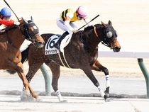 ����å��ǳ��������ɽ�����ޤ�