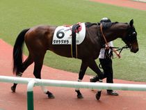 ����å��ǳ��������ɽ�����ޤ�