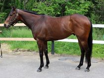 ����å��ǳ��������ɽ�����ޤ�