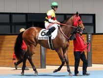 ����å��ǳ��������ɽ�����ޤ�