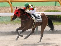 ����å��ǳ��������ɽ�����ޤ�