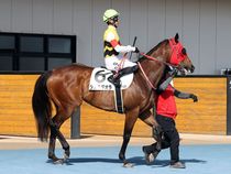 ����å��ǳ��������ɽ�����ޤ�