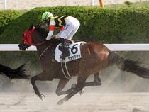 ����å��ǳ��������ɽ�����ޤ�