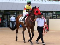 ����å��ǳ��������ɽ�����ޤ�