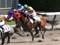 ����å��ǳ��������ɽ�����ޤ�