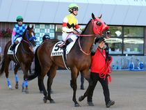 ����å��ǳ��������ɽ�����ޤ�