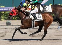 ����å��ǳ��������ɽ�����ޤ�