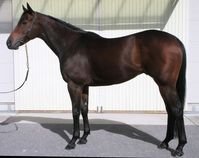 ����å��ǳ��������ɽ�����ޤ�