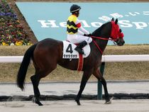 ����å��ǳ��������ɽ�����ޤ�