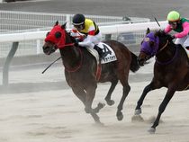 ����å��ǳ��������ɽ�����ޤ�