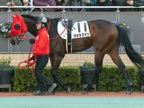 ����å��ǳ��������ɽ�����ޤ�