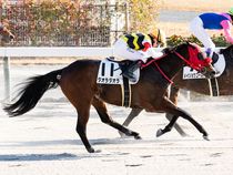 ����å��ǳ��������ɽ�����ޤ�