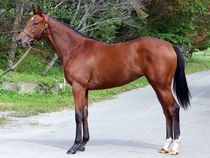 ����å��ǳ��������ɽ�����ޤ�