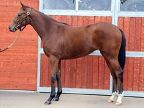 ����å��ǳ��������ɽ�����ޤ�