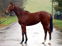 ����å��ǳ��������ɽ�����ޤ�