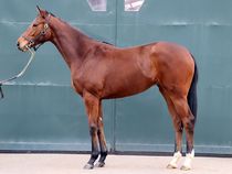 ����å��ǳ��������ɽ�����ޤ�