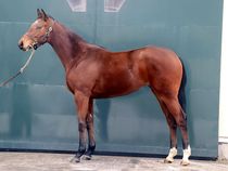 ����å��ǳ��������ɽ�����ޤ�