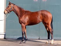 ����å��ǳ��������ɽ�����ޤ�