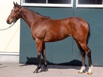 ����å��ǳ��������ɽ�����ޤ�