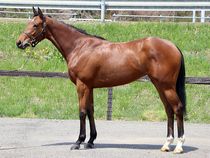 ����å��ǳ��������ɽ�����ޤ�