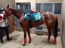 ����å��ǳ��������ɽ�����ޤ�