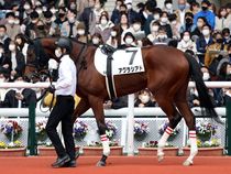 ����å��ǳ��������ɽ�����ޤ�