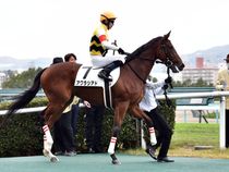 ����å��ǳ��������ɽ�����ޤ�