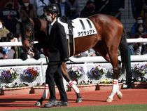 ����å��ǳ��������ɽ�����ޤ�