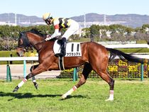 ����å��ǳ��������ɽ�����ޤ�