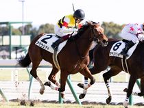 ����å��ǳ��������ɽ�����ޤ�