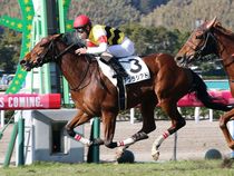 ����å��ǳ��������ɽ�����ޤ�