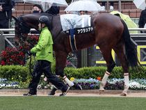 ����å��ǳ��������ɽ�����ޤ�