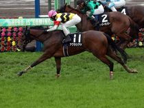 ����å��ǳ��������ɽ�����ޤ�