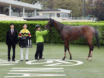 ����å��ǳ��������ɽ�����ޤ�