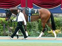 ����å��ǳ��������ɽ�����ޤ�