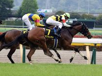 ����å��ǳ��������ɽ�����ޤ�