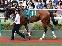 ����å��ǳ��������ɽ�����ޤ�