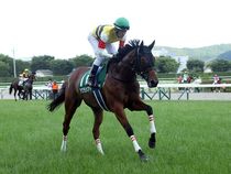 ����å��ǳ��������ɽ�����ޤ�