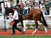 ����å��ǳ��������ɽ�����ޤ�