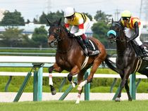 ����å��ǳ��������ɽ�����ޤ�